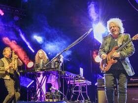 Find the Best Seats to Toto